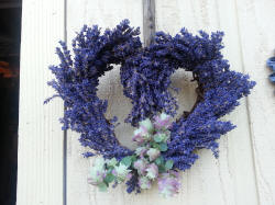 Lavender Gift for any season
