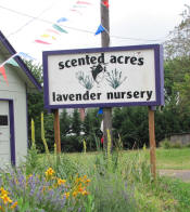 Welcome to Scented Acres