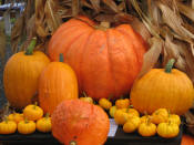 Pumpkins